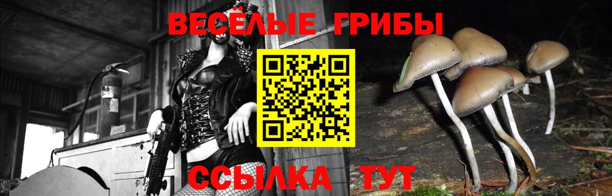 Галлюциногенные грибы Cubensis Электросталь
